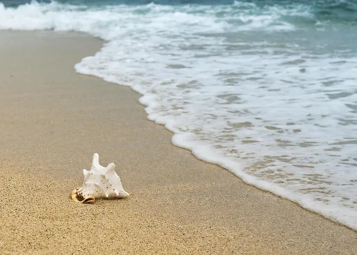 Maison Mitoyenne Avec Piscine à 500m De La - Fr-1-652-62 Saint-Hilaire-de-Riez